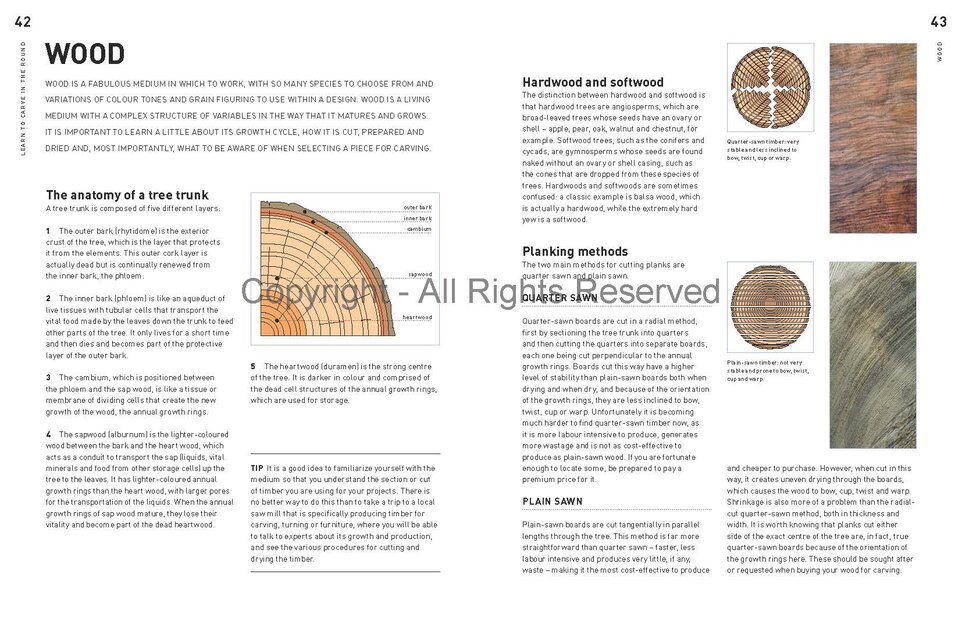 Learn to Carve in the Round by Andrew Thomas