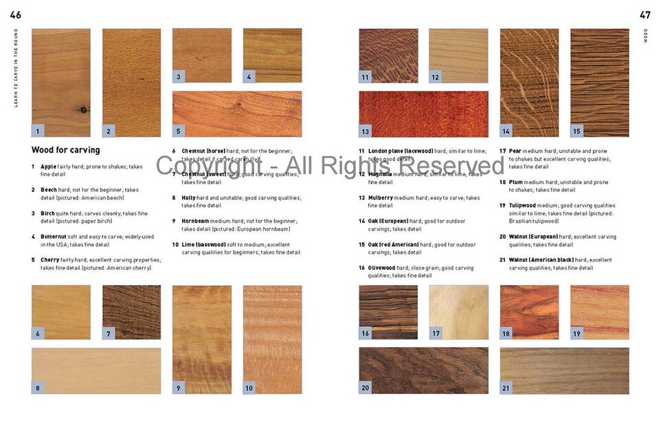 Learn to Carve in the Round by Andrew Thomas