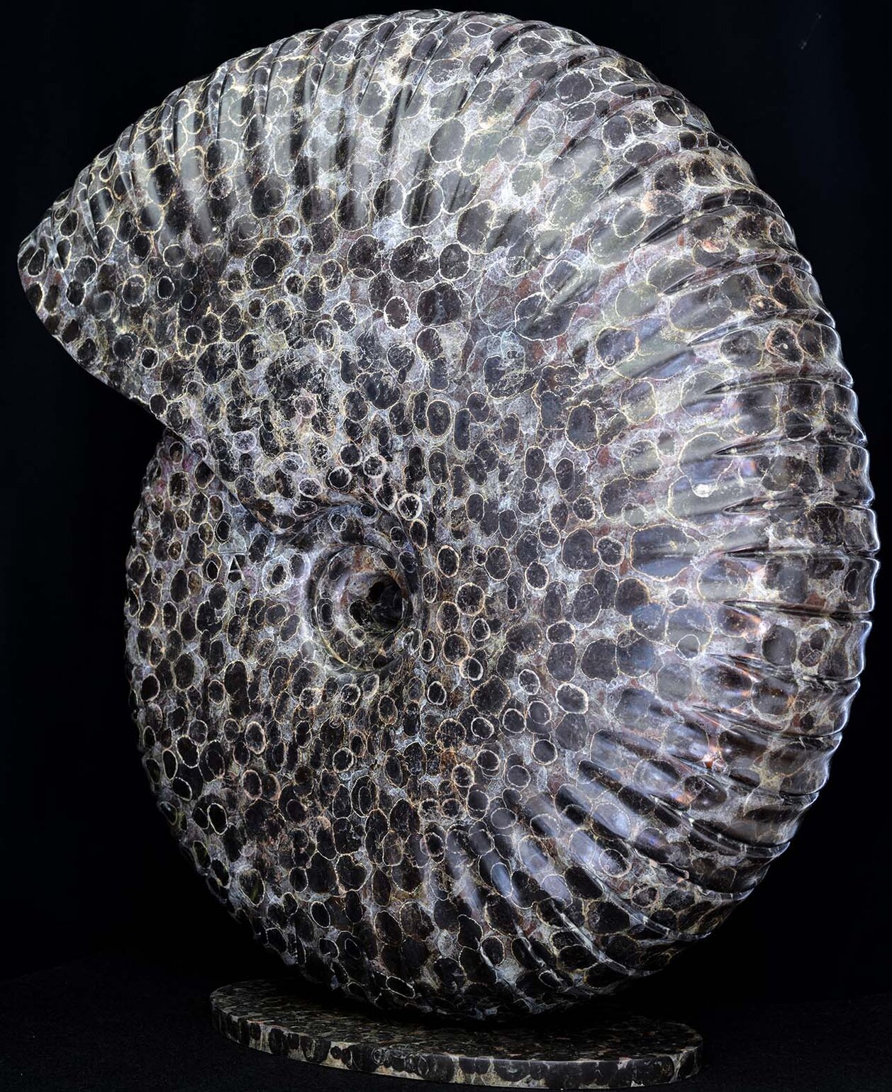 Bronze sculpture by Andrew Thomas