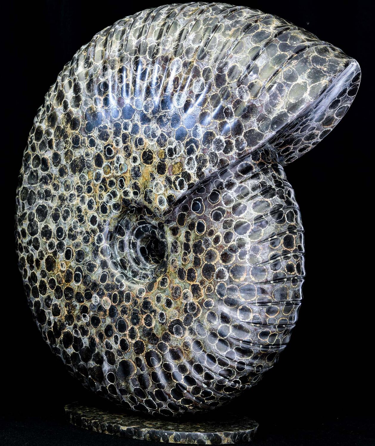 Bronze sculpture by Andrew Thomas